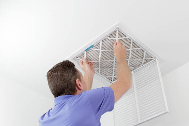 Best Affordable HVAC Duct Cleaning  in Sturgis, MI